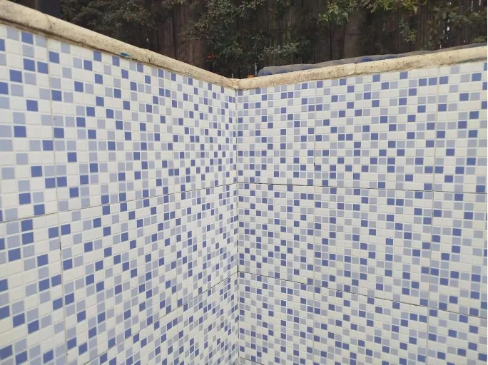 Imagen de esquina de piscina limpia después de la limpieza sin sarro